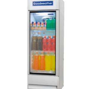 VISICOOLER GOODWEATHER 350 LTS